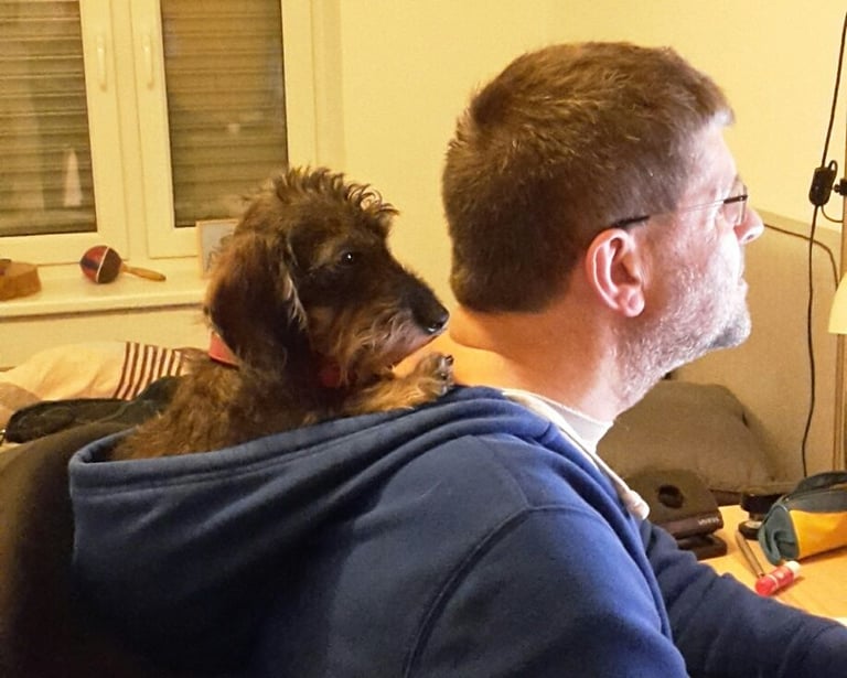 Martin und Zwergdackel Paul erledigen Büroarbeit.