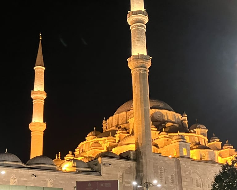 a large mosque with minarets in Fatih Istanbul