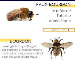 Faux bourdon