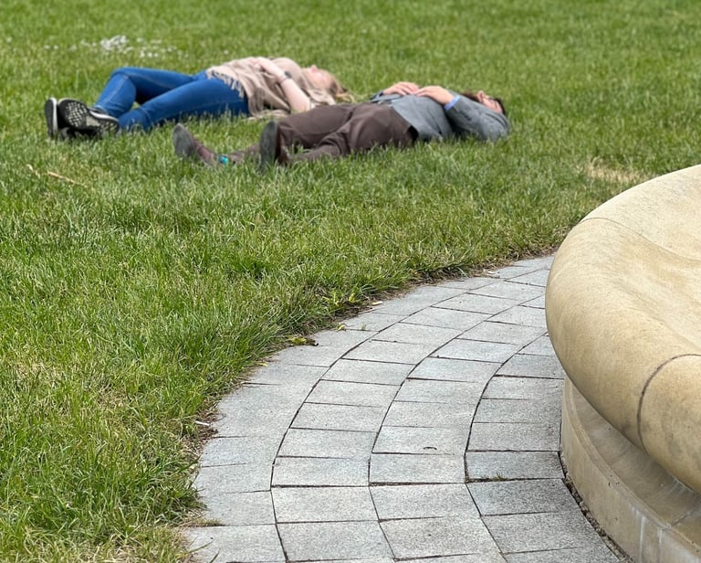 Fot. Justyna Józefowicz