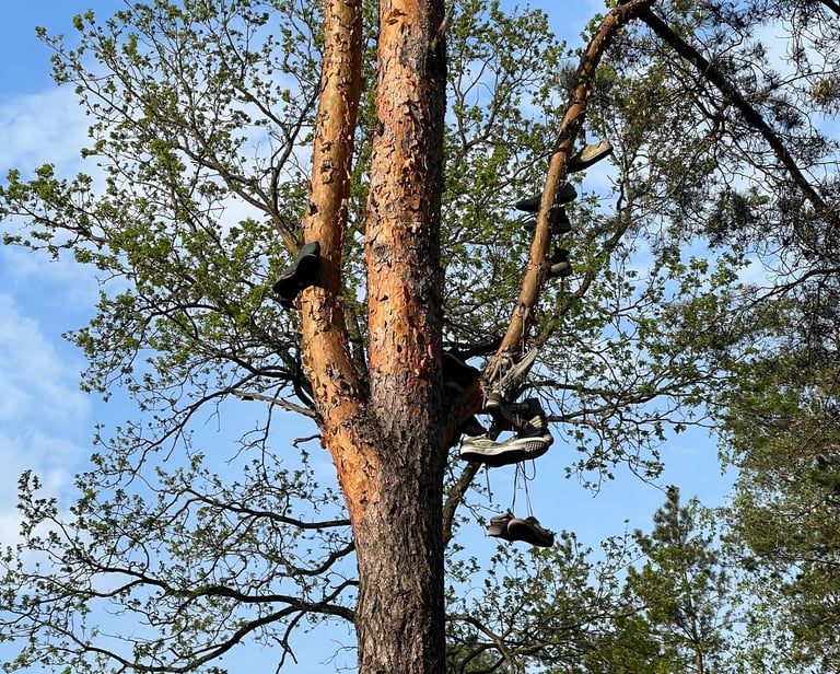 Fot. Justyna Józefowicz, gdzieś pod Warszawą