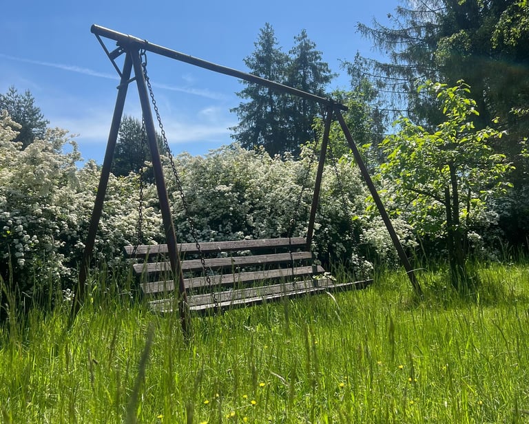 Fot. Justyna Józefowicz, Radlin