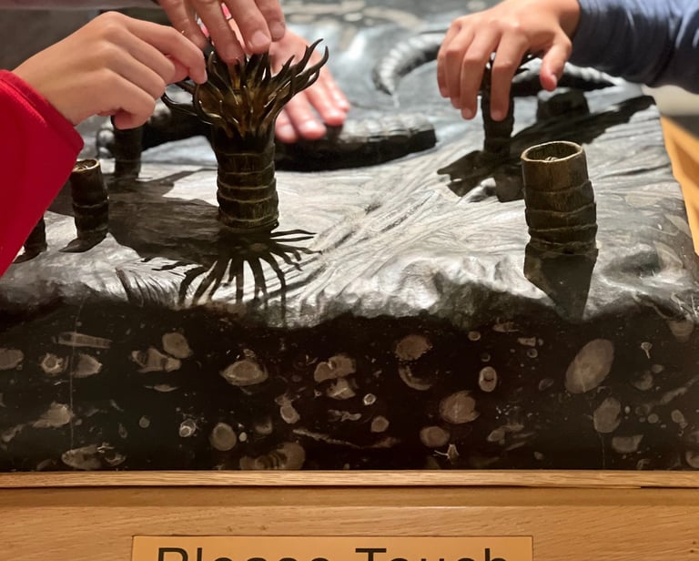 Fot. Justyna Józefowicz, Newcastle