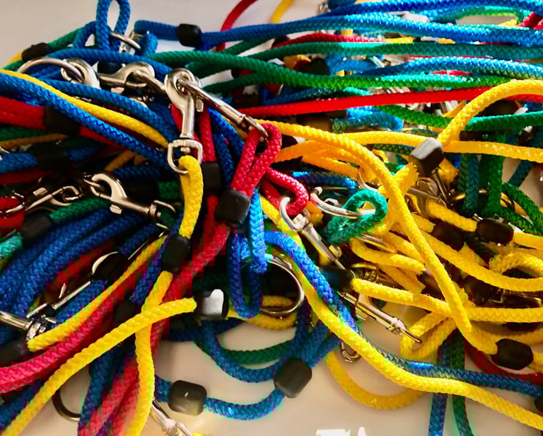 Fot. Justyna Józefowicz