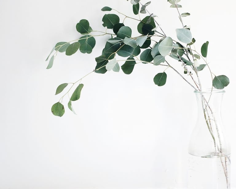 image suggérant la première séance et la bienveillance