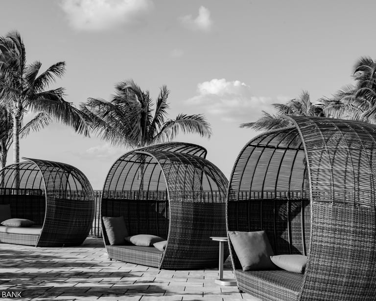 black and white shot of palm trees and wicker cabanas at wildblue resort in southwest florida