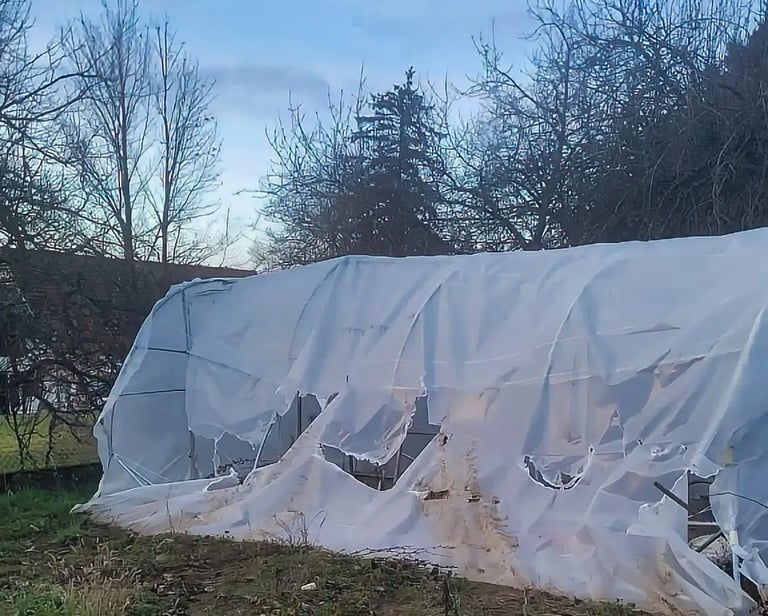 Serre Tunnel après passage d'une tempête