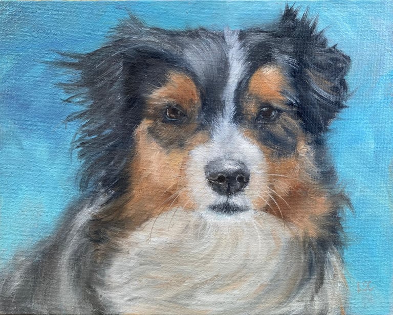 An original oil painting of collie dog close up