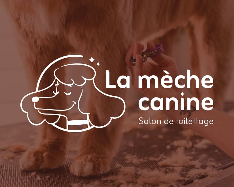 Réalisation : logo - identité visuelle - La mèche canine -Salon de toilettage- Amy Atelier Graphique