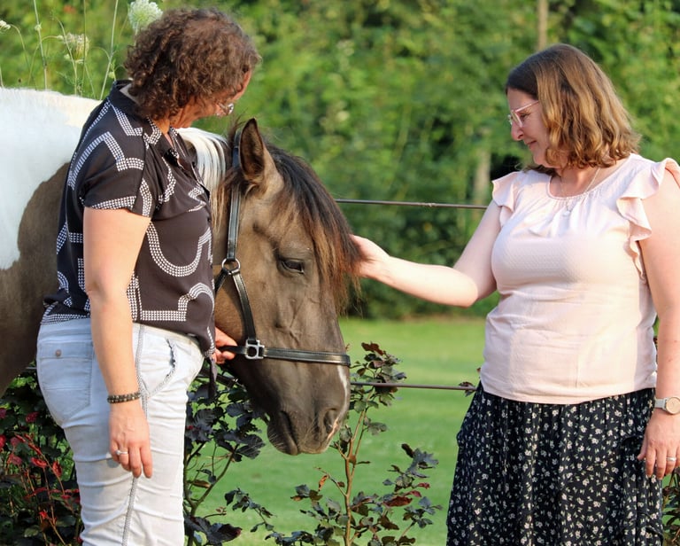 claudia en klant die bij het bruin witte paard staan