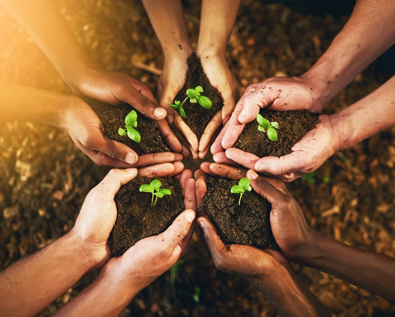 Geste collectif de plantation symbolique, représentant la guérison, l’espoir et le lien humain
