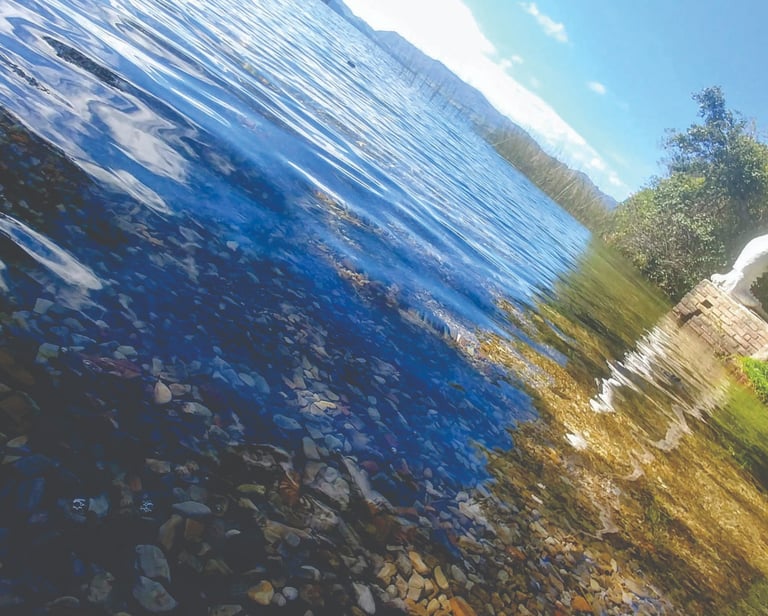 Lago de Tota, Laguna de Tota, Refugio Génesis, playa, paisaje, patos, naturaleza