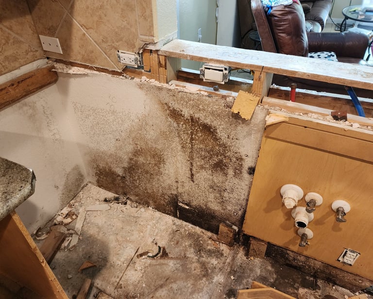Don't wait for water damage to produce mold