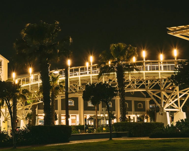 Illuminated white bridge and palm trees at night in a coastal city park with grass.