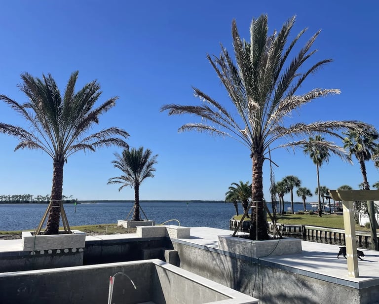 Luxury swimming pool under construction featuring tall palm trees and a scenic waterfront view.