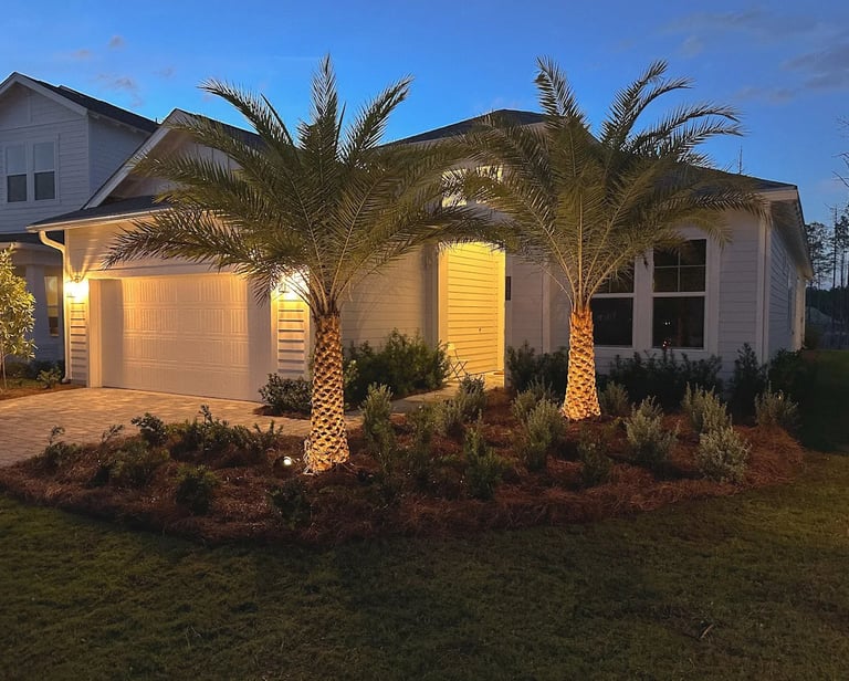 palm installation service in seaside home