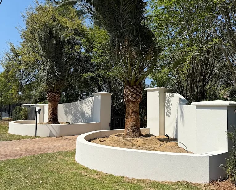 palm tree install for home entrance