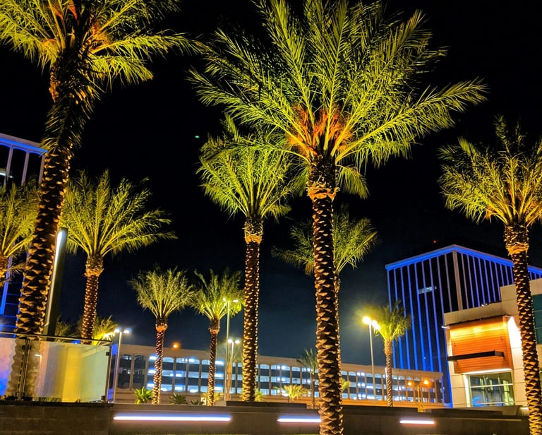 Illuminated palm trees and modern city buildings at night with neon architectural lighting.