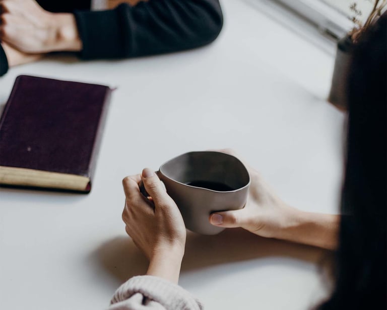 Collaborators meeting, brainstorming, business