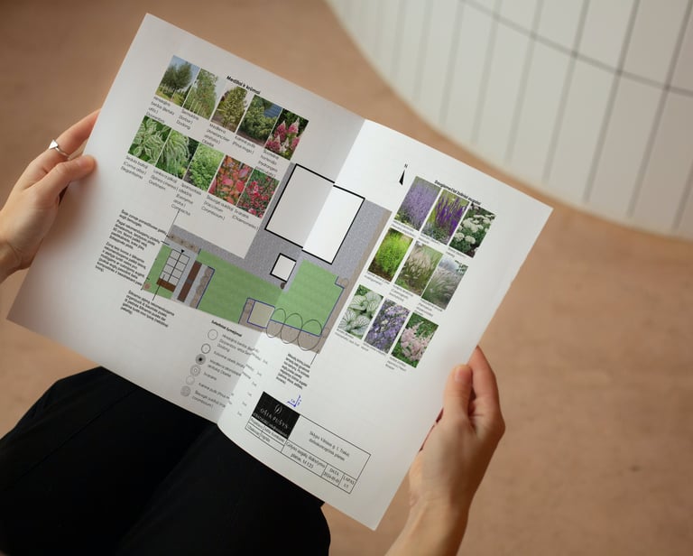 žmogus laiko apželdinimo planą