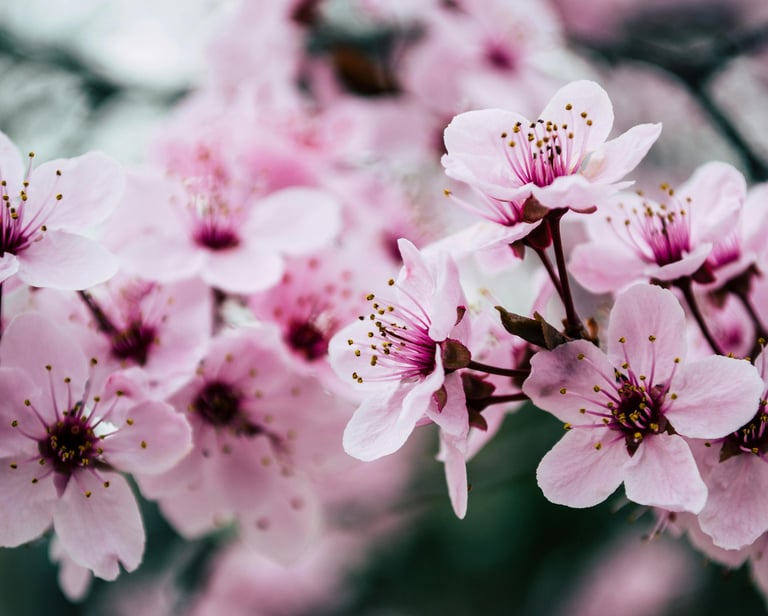 Perte de poids et rééquilibrage alimentaire avec un diététicien à Clisson.
