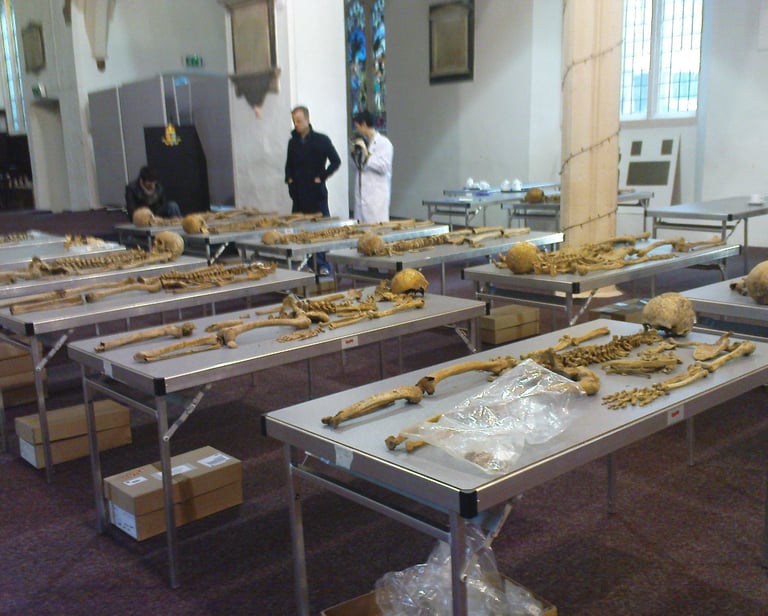 Skeletons from Wolsey Street, Ipswich