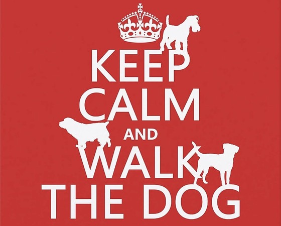 a dog is walking through a red background with a crown