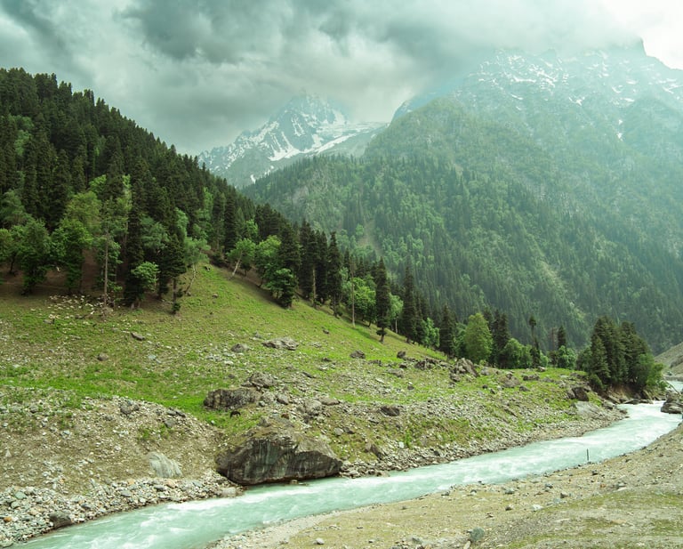 A scenic mountain river flows through a lush green valley under a cloudy sky in the Himalayas.