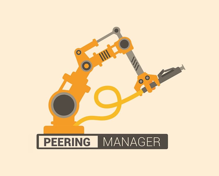 Logo Peering Manager