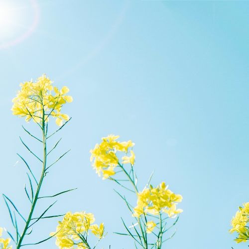 expérience assistante administrative confiance rigueur déléguer