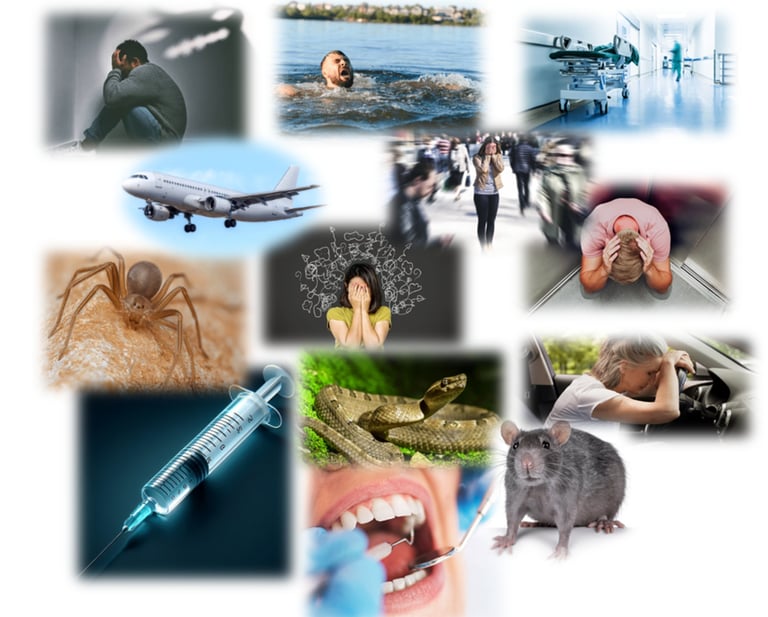 Cédric maynadi, hypnose pour se défaire des phobies. Castillon-du-gard