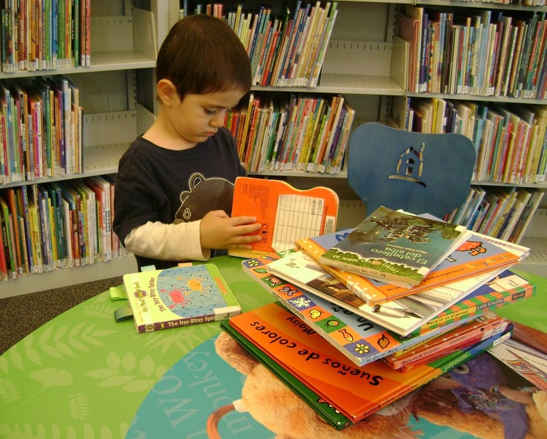 reading public library books