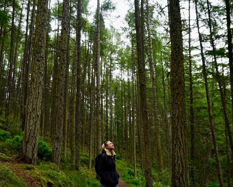 Coach Moll in a forest looking up at the trees