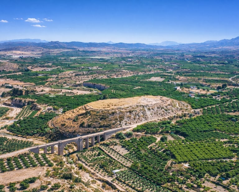 On the outskirts of present-day Cehegín is located "Cabezo de Roenas", a hill on which the Roman cit