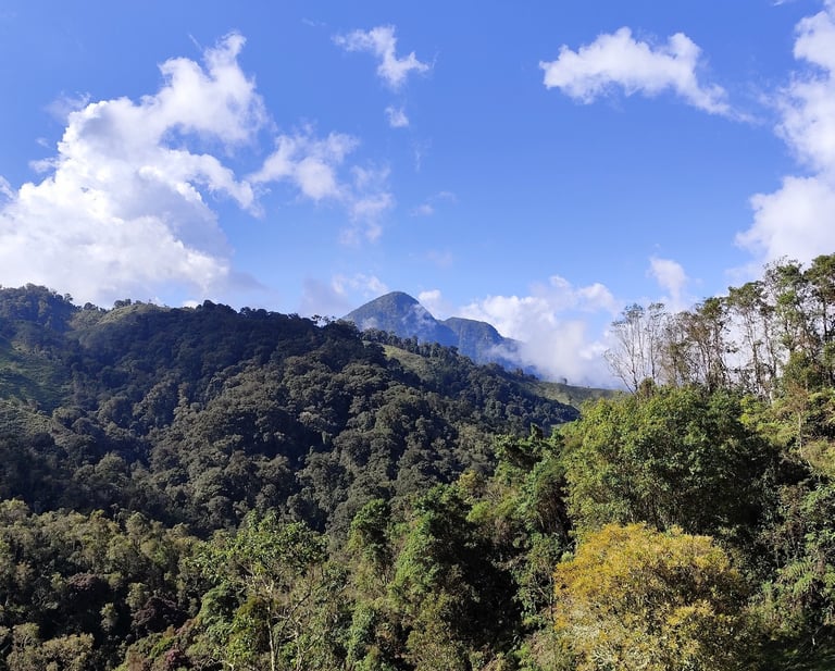 el vivero inti killa con vista al cerro guambeima