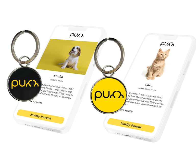 Purr Tags with Dog & Cat Lost Mode