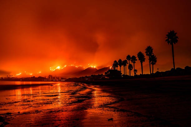California Wildfire 2025