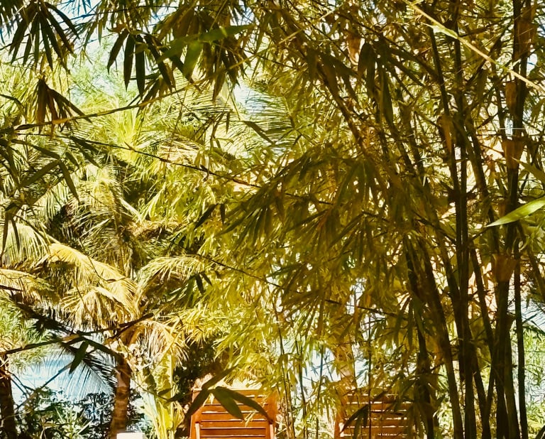 Vue de la piscine et du bolong dans le fond du boutique hôtel Maison Fimela au coeur du Sine Saloum