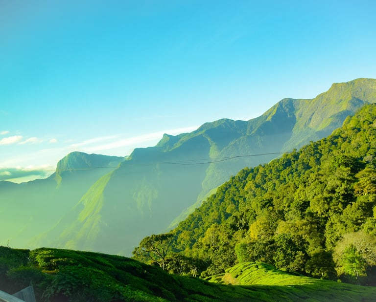munnar