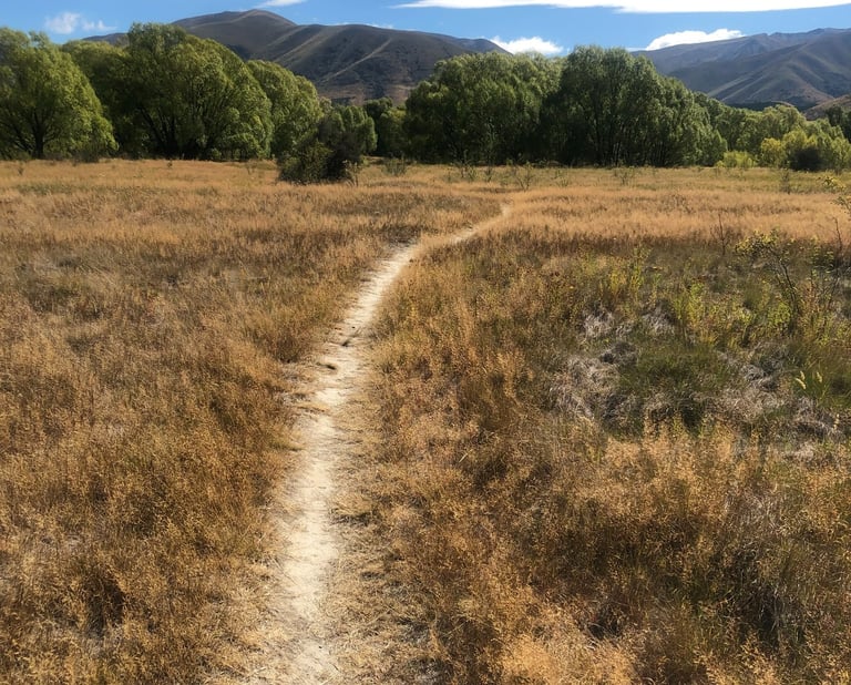 Peaceful pathway representing personal yoga journey in Castlegar BC