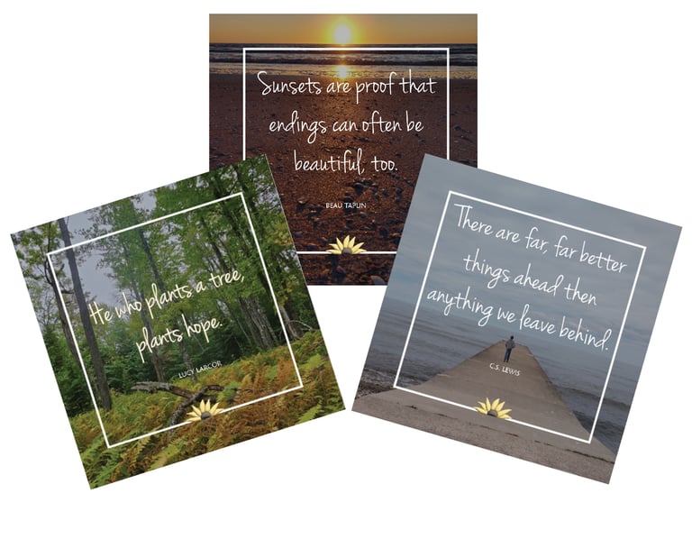 inspirational words from nature