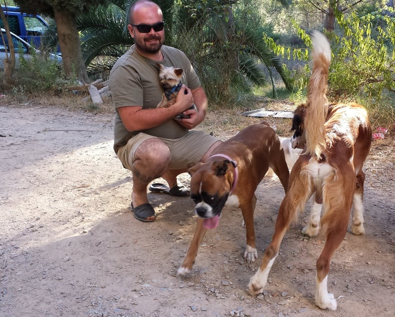 Guardería de día para perros