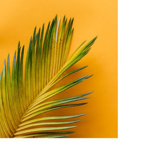 rigueur bras droit dirigeant OBM assistante administrative