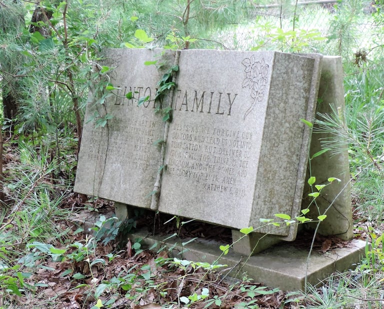 Myrtle Vivian Linton (December 25th, 1882-October 17th, 1885)