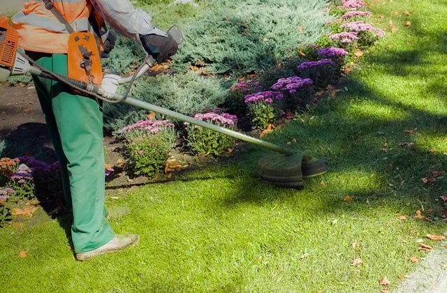 Garden Clean Up
