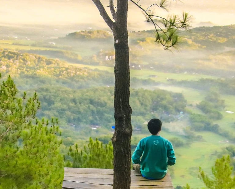 Mindfulness workshop participants learning meditation techniques