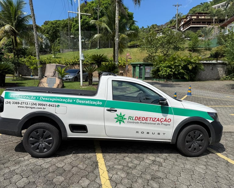 Descupinização