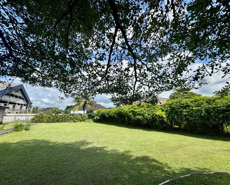 A lush green lawn backyard surrounded by dense garden hedges and trees under a bright blue sky.