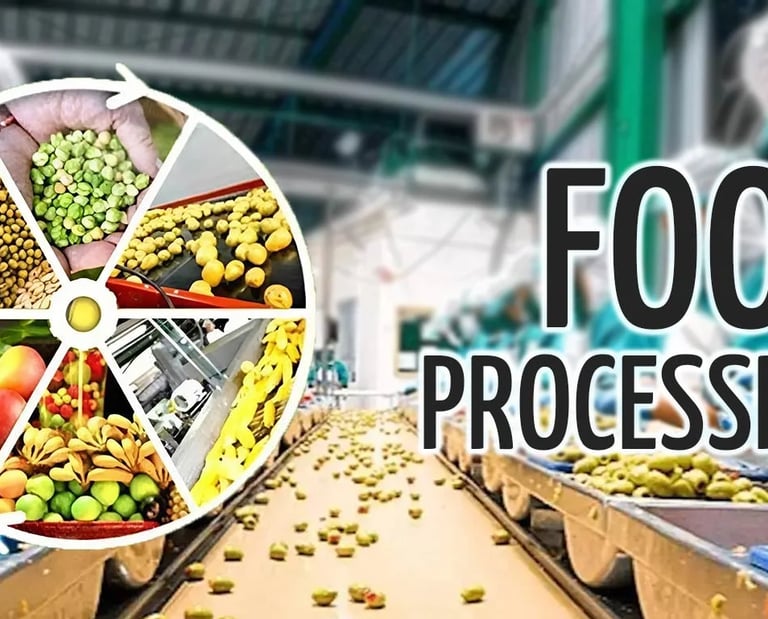 dehydrated onion and garlic for food processing companies