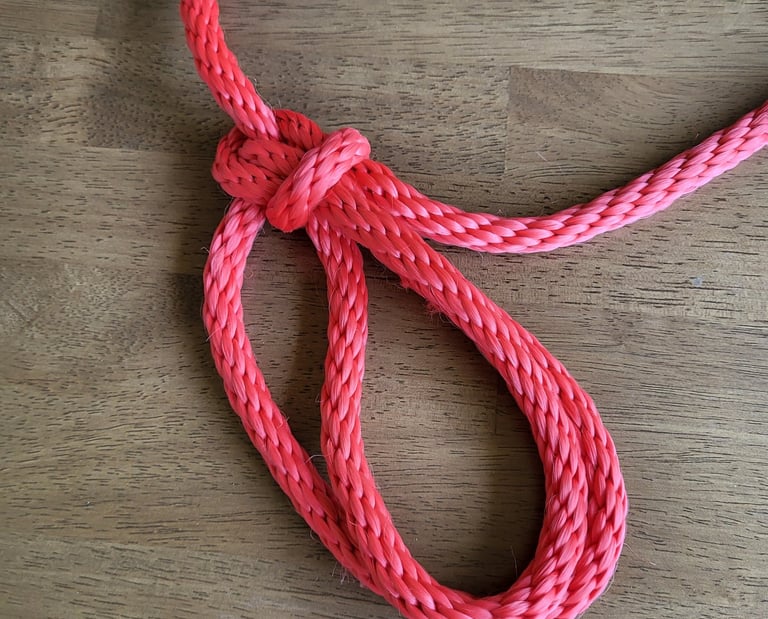 Bowline with a bight (abok 1074), tied as a double bowline